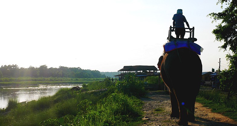 Jungle Safari at Chitwan National Park (1)